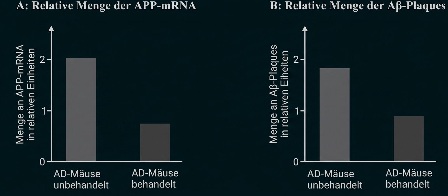 Zwei Balkendiagramme: unbehandelte AD‑Mäuse zeigen höhere APP‑mRNA und mehr Aβ‑Plaques als behandelte Mäuse.